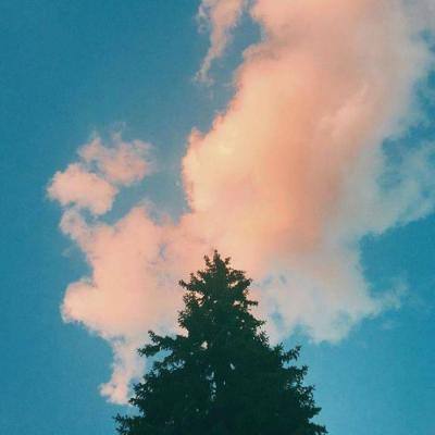 澳门网上黄金城