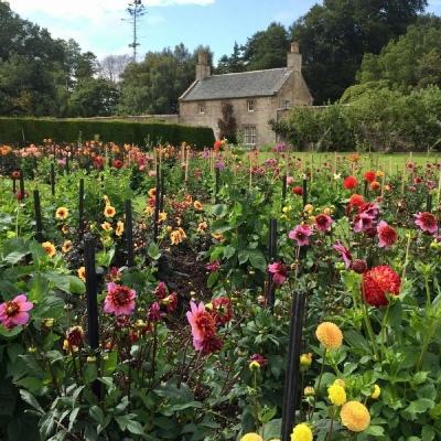 半岛综合APP下载