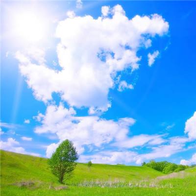 火狐体育APP下载手机版