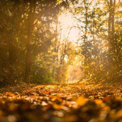 博鱼app体育官方正版下载