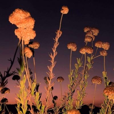 诺亚体育app下载安装手机版最新